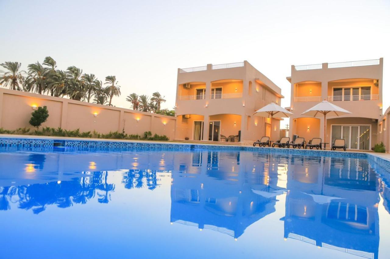 Royal Nile Villas - Pool View Apartment 2 Luxor Eksteriør billede