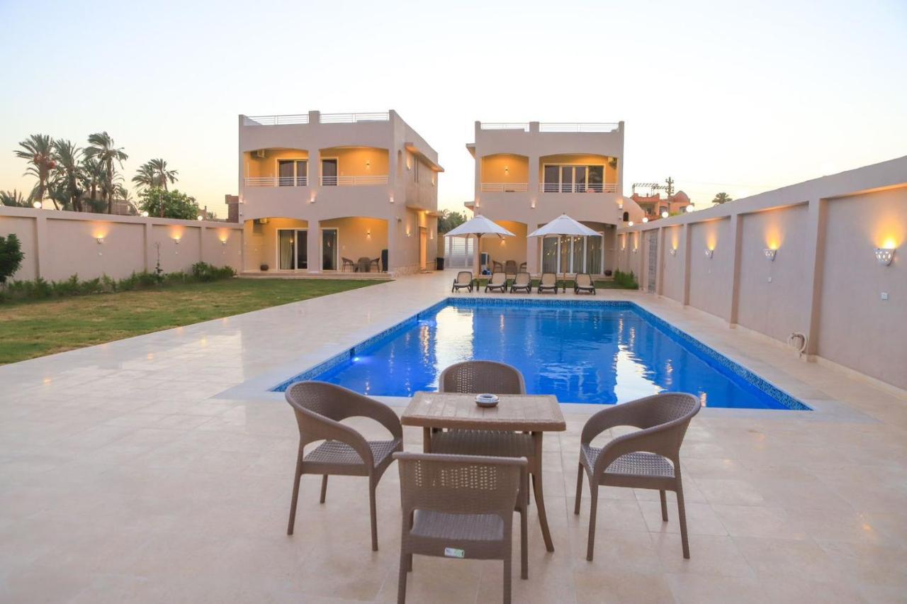 Royal Nile Villas - Pool View Apartment 2 Luxor Eksteriør billede
